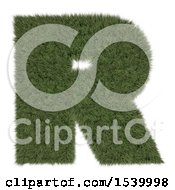 Poster, Art Print Of 3d Grassy Capital Letter R On A White Background