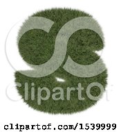 Poster, Art Print Of 3d Grassy Capital Letter S On A White Background