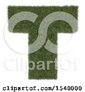 Poster, Art Print Of 3d Grassy Capital Letter T On A White Background