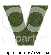 Poster, Art Print Of 3d Grassy Capital Letter V On A White Background