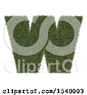 Poster, Art Print Of 3d Grassy Capital Letter W On A White Background