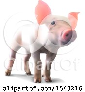 Poster, Art Print Of 3d Piglet On A White Background