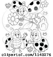 Poster, Art Print Of Black And White Ladybugs