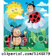 Clipart Of Ladybugs Royalty Free Vector Illustration by visekart