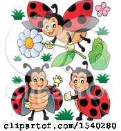 Clipart Of Ladybugs Royalty Free Vector Illustration
