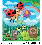 Poster, Art Print Of Ladybug Worm And Snail