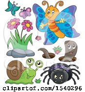 Poster, Art Print Of Butterfly Spider Worm And Snail