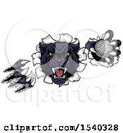 Clipart Of A Black Panther Mascot Shredding Through A Wall With A Golf Ball Royalty Free Vector Illustration
