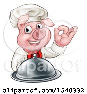 Clipart Of A Chef Pig Holding A Cloche And Gesturing Okay Royalty Free Vector Illustration by AtStockIllustration