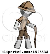 Gray Explorer Ranger Man Walking With Hiking Stick