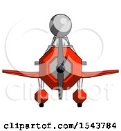 Poster, Art Print Of Gray Design Mascot Woman In Geebee Stunt Plane Front View