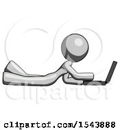 Poster, Art Print Of Gray Design Mascot Woman Using Laptop Computer While Lying On Floor Side View