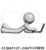 Poster, Art Print Of Gray Design Mascot Man Using Laptop Computer While Lying On Floor Side View