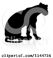Poster, Art Print Of Silhouetted Lioness With A Shadow On A White Background