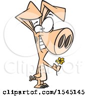 Clipart Of A Cartoon Sweet Pig Holding Out A Flower Royalty Free Vector Illustration