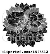 Poster, Art Print Of Black And White Dahlia Or Chrysanthemum Flower In Woodcut Style