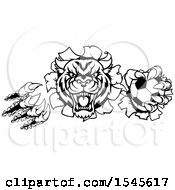 Poster, Art Print Of Black And White Tiger Shredding Through A Wall With A Soccer Ball In One Hand