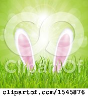 Clipart Of A Easter Bunny Ears In Grass Royalty Free Vector Illustration