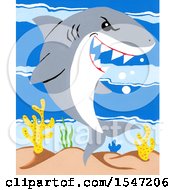 Poster, Art Print Of Shark Smiling