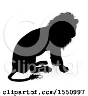 Clipart Of A Silhouetted Male Lion Sitting With A Reflection Or Shadow Royalty Free Vector Illustration