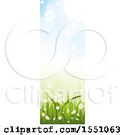 Poster, Art Print Of Spring Time Grass Flower And Sky Banner