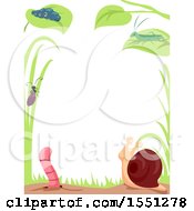 Poster, Art Print Of Border Of Garden Insects