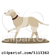 Taxidermy Dog Statue