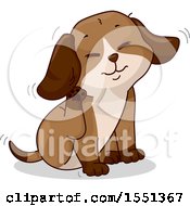 Poster, Art Print Of Puppy Dog Scratching His Ear