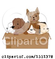 Poster, Art Print Of Box Of Adorable Dogs