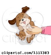 Poster, Art Print Of Hand Rubbing A Dogs Belly