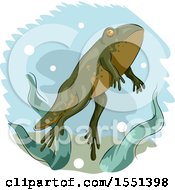 Poster, Art Print Of Young Frog Developing Legs