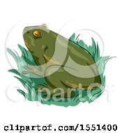 Poster, Art Print Of Green Frog