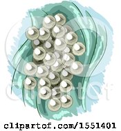 Clipart Of A Cluster Of Frog Eggs Royalty Free Vector Illustration