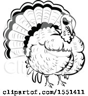 Clipart Of A Black And White Turkey Bird Royalty Free Vector Illustration by BNP Design Studio