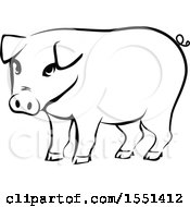 Clipart Of A Black And White Pig Royalty Free Vector Illustration