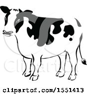 Poster, Art Print Of Black And White Dairy Cow