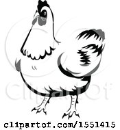 Clipart Of A Black And White Chicken Royalty Free Vector Illustration