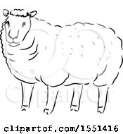 Clipart Of A Black And White Sheep Royalty Free Vector Illustration