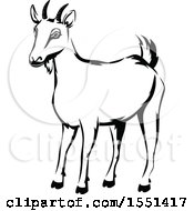 Clipart Of A Black And White Goat Royalty Free Vector Illustration by BNP Design Studio