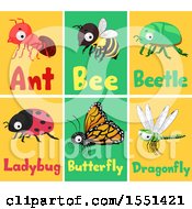 Poster, Art Print Of Ant Bee Beetle Ladybug Butterfly And Dragonfly Flash Cards
