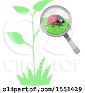 Clipart Of A Magnifying Glass Focused On A Ladybug On A Leaf Royalty Free Vector Illustration by BNP Design Studio