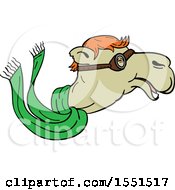 Poster, Art Print Of Cartoon Happy Pilot Camel Head With Goggles And A Scarf