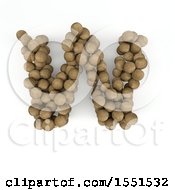 3d Wood Sphere Capital Letter W On A White Background