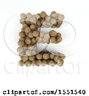 3d Wood Sphere Capital Letter E On A White Background