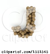 3d Wood Sphere Capital Letter J On A White Background