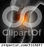Clipart Of A 3d Anatomical Woman With Visible Glowing Spine On Black Royalty Free Illustration