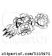 Clipart Of A Black And White Bulldog Monster Shredding Through A Wall With A Basketball In One Hand Royalty Free Vector Illustration