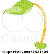 Clipart Of A Sprouting Leaf Royalty Free Vector Illustration