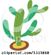 Poster, Art Print Of Cactus Plant
