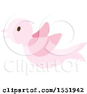 Poster, Art Print Of Flying Pink Baby Bird